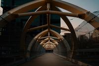 Votre cœur vous dira merci : découvrez le rôle clé du glycocalyx