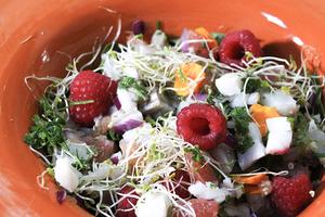 Inspiration ceviche