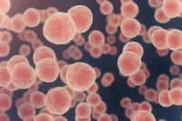 Les clés du cancer : le rôle du métabolisme