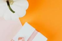 Les bons plans du Vitaliseur 